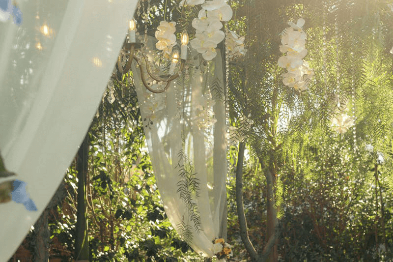 Choosing the Perfect Wedding Photographer